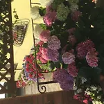 Il Gufo Hotel Parma