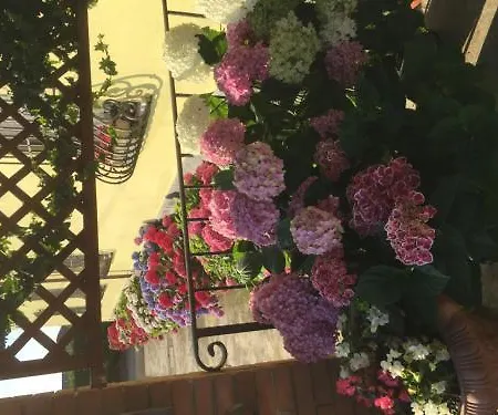 Il Gufo Ξενοδοχείο Πάρμα