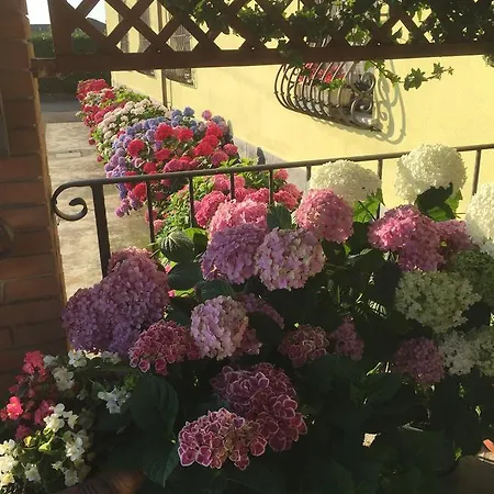 Ξενοδοχείο Il Gufo 3*